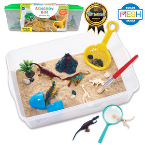 Sensory Bin- Dinosaur Dig