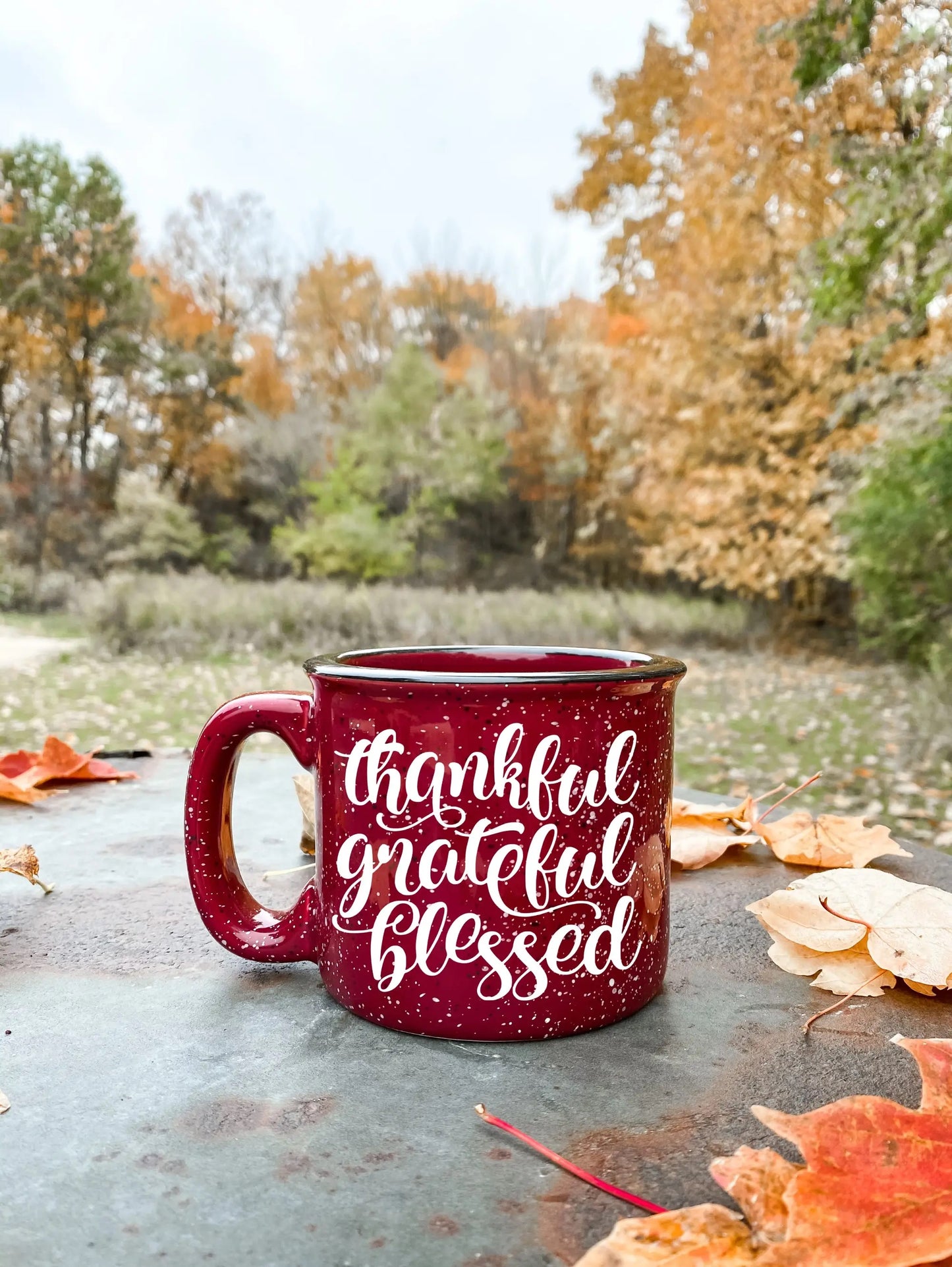 Campfire Mugs